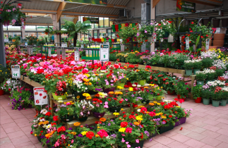 Visuel d'un Jardliland, géré par la filiale Jardiplay